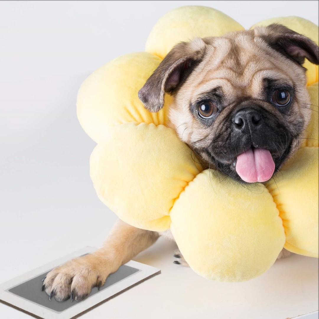 Новорожденный ребенок отпечатки ног и рук чернильные подушечки наборы для DIY фоторамка — фото 7