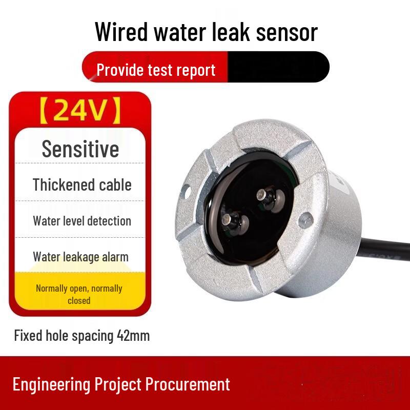 Brangdy Wired DC24V Water Leak Detector