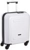 Sifre Hard Zipper Case, Small, Small, GREEN WORKS, Carry-On Compatible, 22L, B5891T-39, 44 Cm, 2.4kg, Carbon White