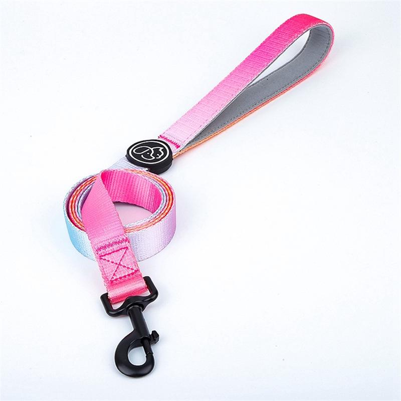 Gradient Color Dog Leash for Large Dogs - 5ft Smooth Style