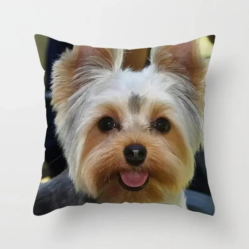 Schlafzimmer Sofa Lendenkissenbezug Auto   Niedlicher Yorkie Bichon Frize Yorkshire Druck Kissenbezug