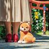 Come Here Shiba Inu Plush Toy Cute Shiba Inu Goods Approx. 22cm (Komugi (Orange))