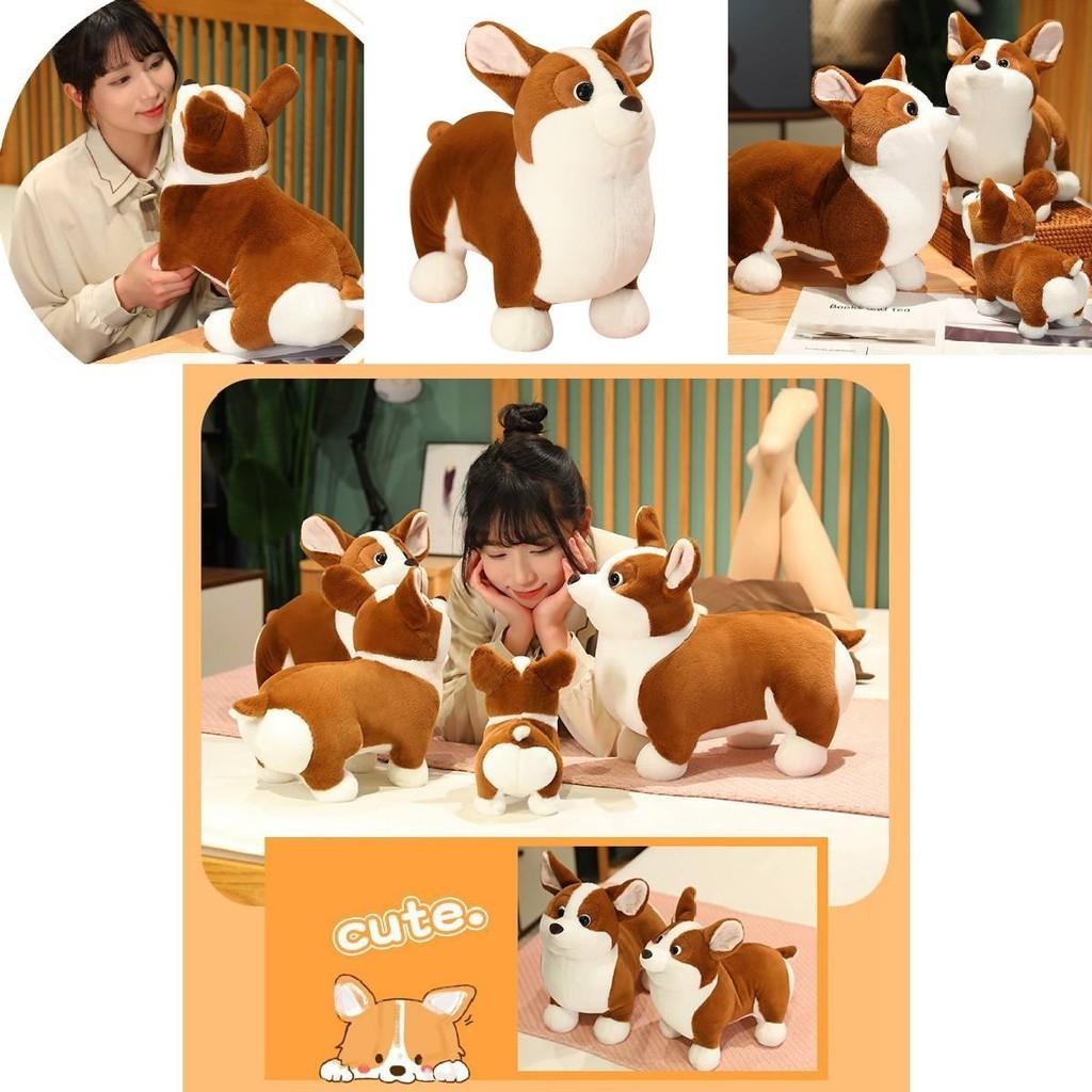 Cute Plush Corgi Dog Toy Soft And Huggable Stuffed Animal For Kids And Pets Brown And White Color 23cm