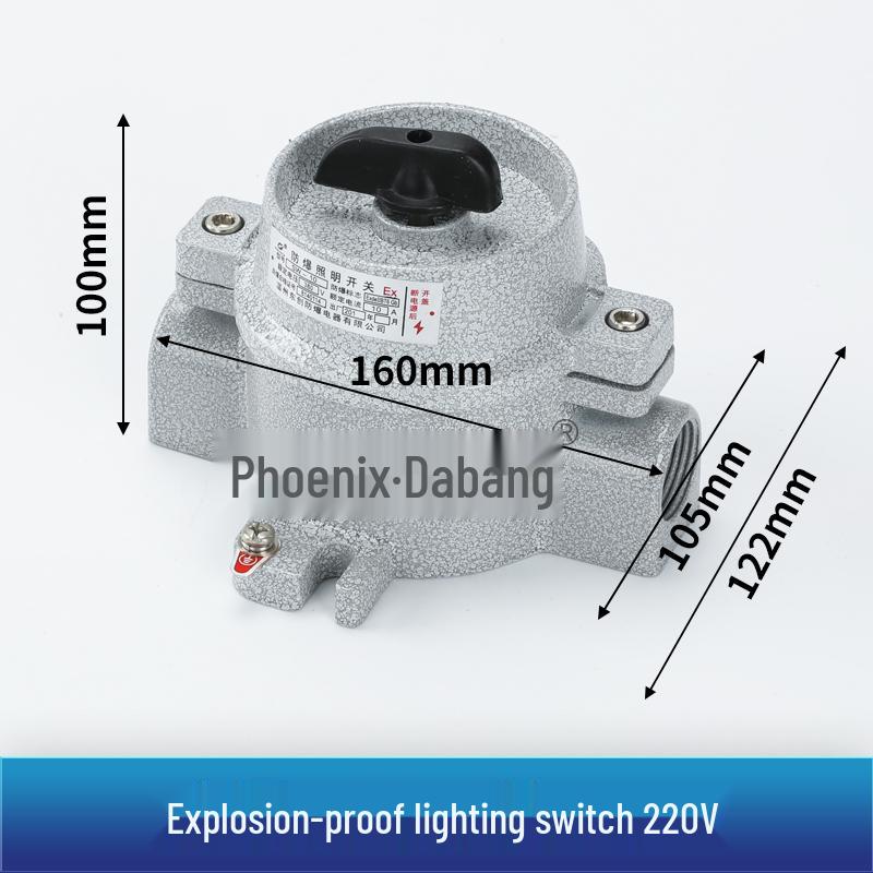 86 Type Industrial Explosion-Proof Wall Switch & Socket with Lighting Switch - EX Certified, 220V
