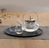 HARIO Round Ceramic Stove and Glass Set, 360ml Capacity (2 cups), Made in Japan, IDXG-8004-MSV, Clear