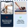 Dog Potty Training Tray Easy To Clean Puppy Pad Holder Tray Reusable Dog Potty Extra Large Dog Toilet Tray for Pets Up Products