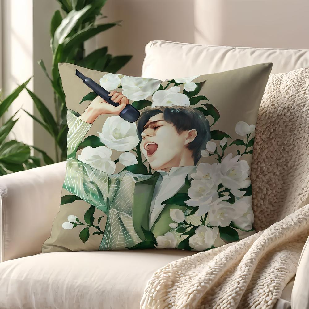 Singer DDimash KKudaibergens cushion cover For Pillow Printing Sofa Decoration Home Car Room Coffee Office Nordic Simplicity
