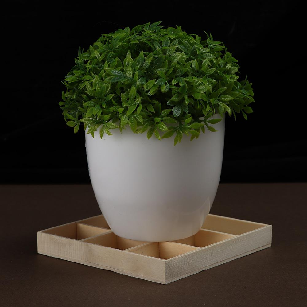 Schmuck Display Palette Lagerung Holz Box Desktop Organizer Bonsai Halter Blumentopf Holz Tablett