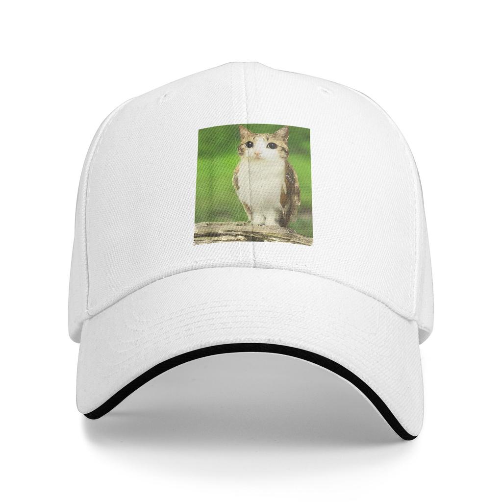 Spring Casual Baseball Cap Meowl Cat Owl Meme Funny Animal Hybrid Running Hippie Trucker Hat For Couple Trendy Baseball Caps