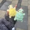 Cute Fleece Turtle Dog Toy Bite Resistant Interactive Pet Teeth Grinding Chew Toy Fun Play Mini Squeaky Puppy Toy Cat & Dog