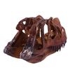 Ceratops Dinosaur Resin Skull Head Decoration Personalized Home Decor Teaching
