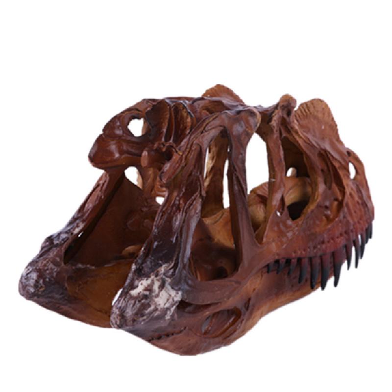 Ceratops Dinosaur Resin Skull Head Decoration Personalized Home Decor Teaching