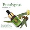 Old Tree Eucalyptus Essential Oil 15ml