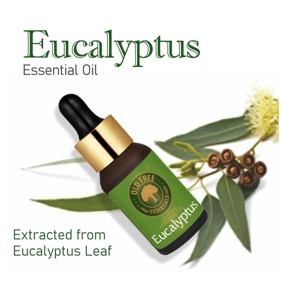 Old Tree Eucalyptus Essential Oil 15ml