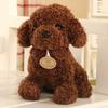 Curly Teddy Dog Plush Doll - Children's Birthday Gift Ragdoll Toy
