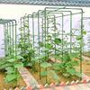Metal Climbing Plant Trellis