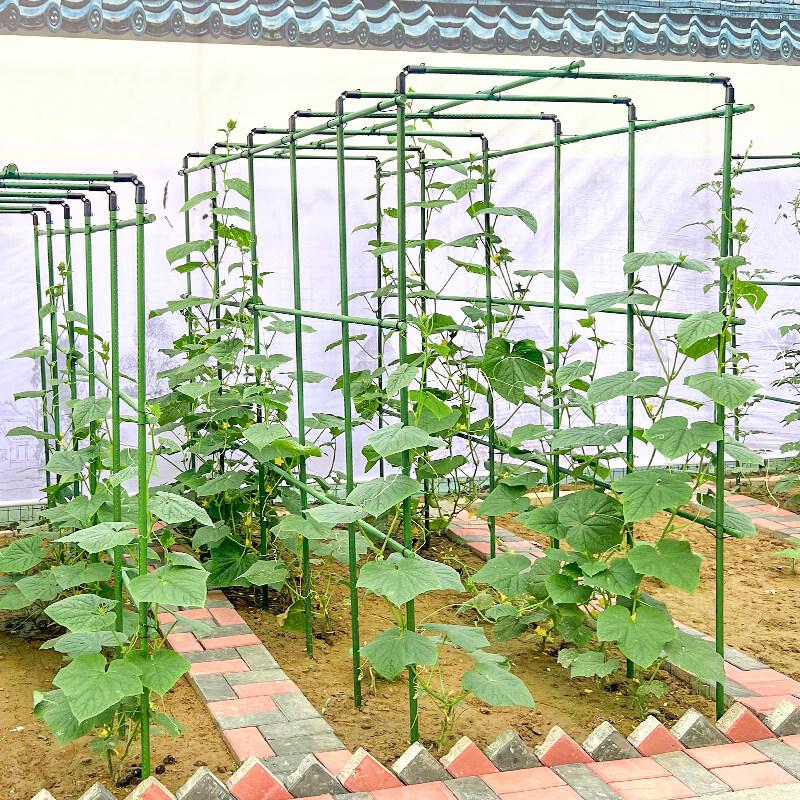 Metal Climbing Plant Trellis