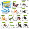 Children's Insect Observation Box: Soft Plastic Butterfly, Mantis, Bee Simulation Set