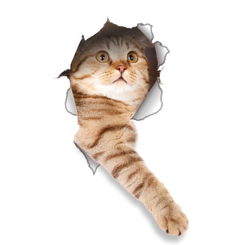 Lovely Cat Dog 3D Wall Stickers Hole View Bathroom Toilet Decals Living Room Home Decor Poster Cute Animals Waterproof Wallpaper