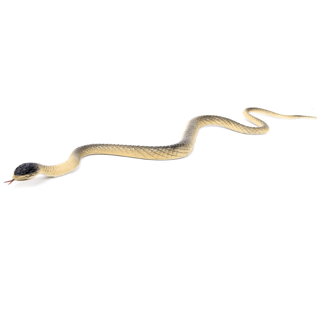 Bristol Novelty Ak043/ Serpent Grande en caoutchouc Prop