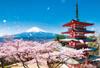 Yanoman [Made In Japan] 108-Piece Jigsaw Puzzle, Large Pieces, Japanese Landscape: Mount Fuji and a Five-Story Pagoda with Cherry Blossoms Falling,