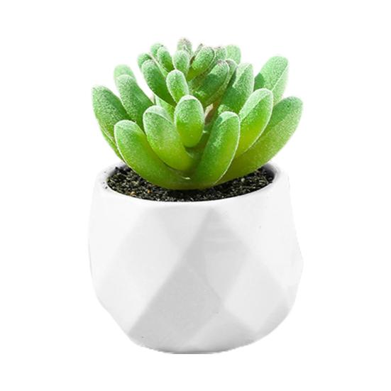 Dobrý květináč Ekologický přenosný a poutavý