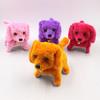 Premium Quality Walking Dancing Dog Toy For Kids With Educational Plush Features