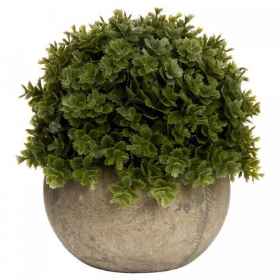 Miniature Hebe Veronica Decoration