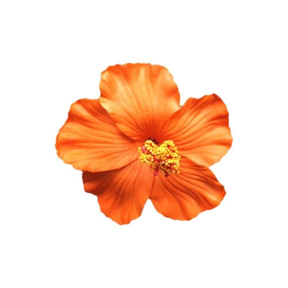 Headwear Hawaiian Flower Hair Clips Side Bangs Clip Hair Accessories Artificial Flower Clips Romantic