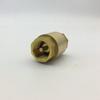 OEM 304 SS NPTF Check Valve 1/2"-1-1/2" for Potable Water Systems – Industrial Grade
