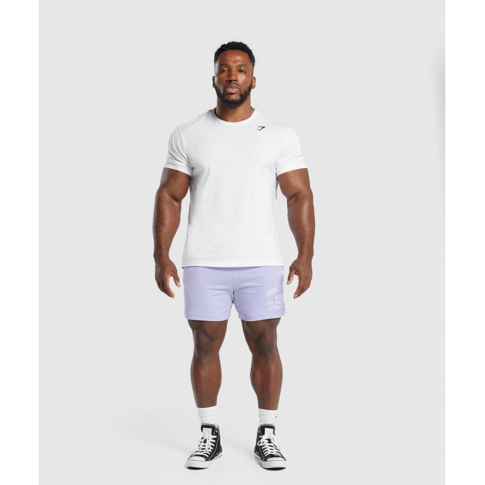 Gymshark Lightweight Jersey Shorts Silver Lilac A5a6j Pbvs