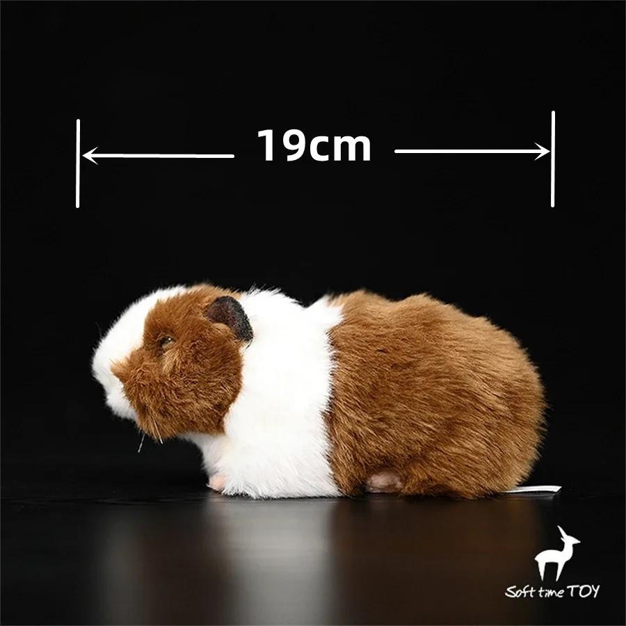Guinea Pig High Fidelity Anime Cute Plushie Cavy Plush Toys Lifelike Hamster Animals Simulation Stuffed Doll Kawai Toy Gifts