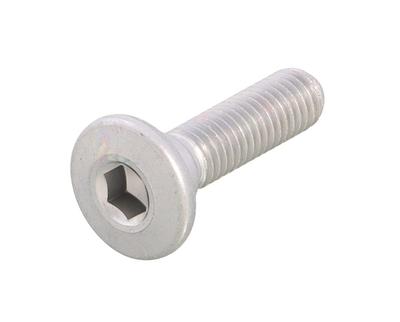 Kitaco 70-500-74001 Rotor Bolt, K-PIT Steel (1 Piece), M8 X 30, P1.25, Kawasaki Type, Ninja 250, Z250, Ninja 400, Z900RS