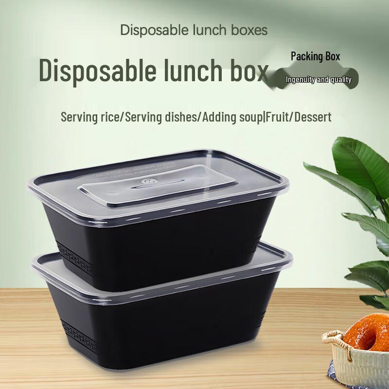 Ronghe Disposable 1000ml Rectangular Takeaway Meal Boxes