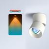 Surface-Mounted Sunset Red Spotlight - Atmospheric Ceiling Lamp for Corridor Entrance