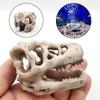 1 Set Resin Dinosaur Fossil Simulation Mini Dinosaur Ornaments Decorative Props Crafts Arts Artificial Decor for Fish Tank Aquarium