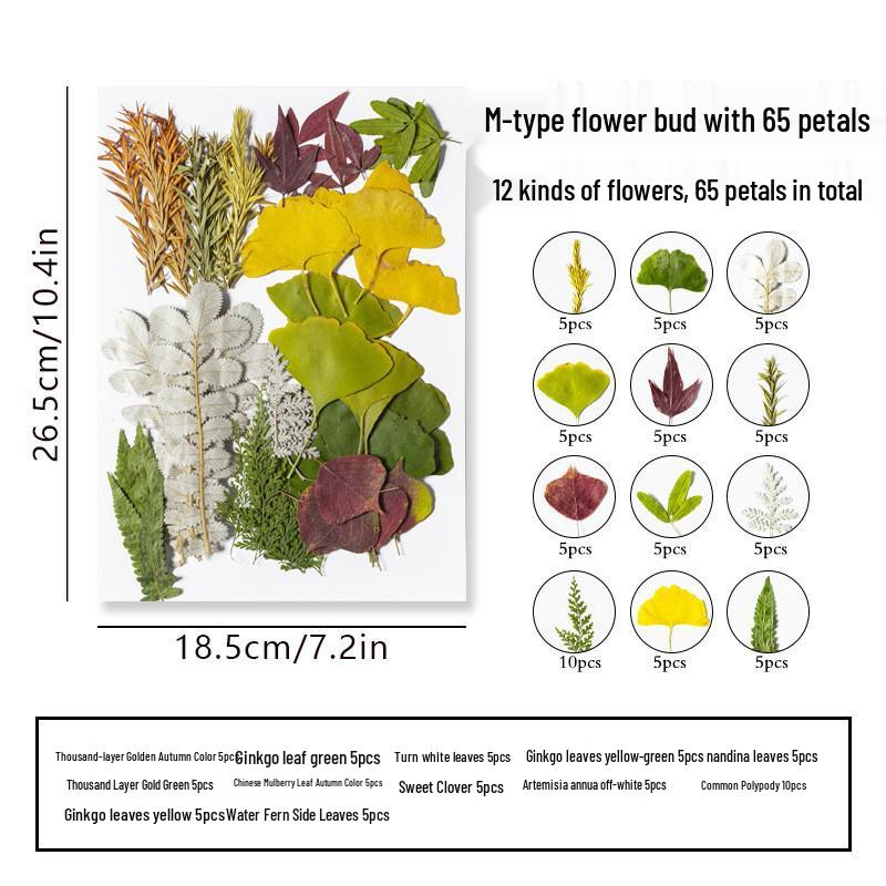 DIY Dried Flower Specimen Sticker Set for Kids: Handmade Pressed Flower Frames & Resin Bookmark Craft Kit