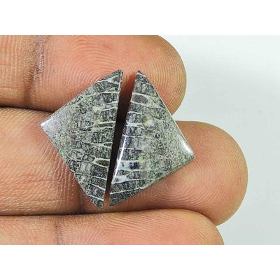 10.20Cts. Natural Black Fossil Coral (12mm X 22mm Each) Cabochon Match Pair SK-2504