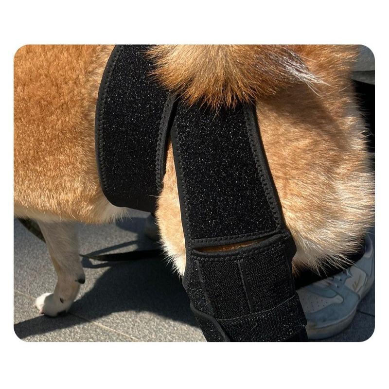 Dog Leg Knee Support, Pet Supplies, Injury Assist Strap for Dogs, Anti-Licking Recovery Bandage, Pet Joint Protector