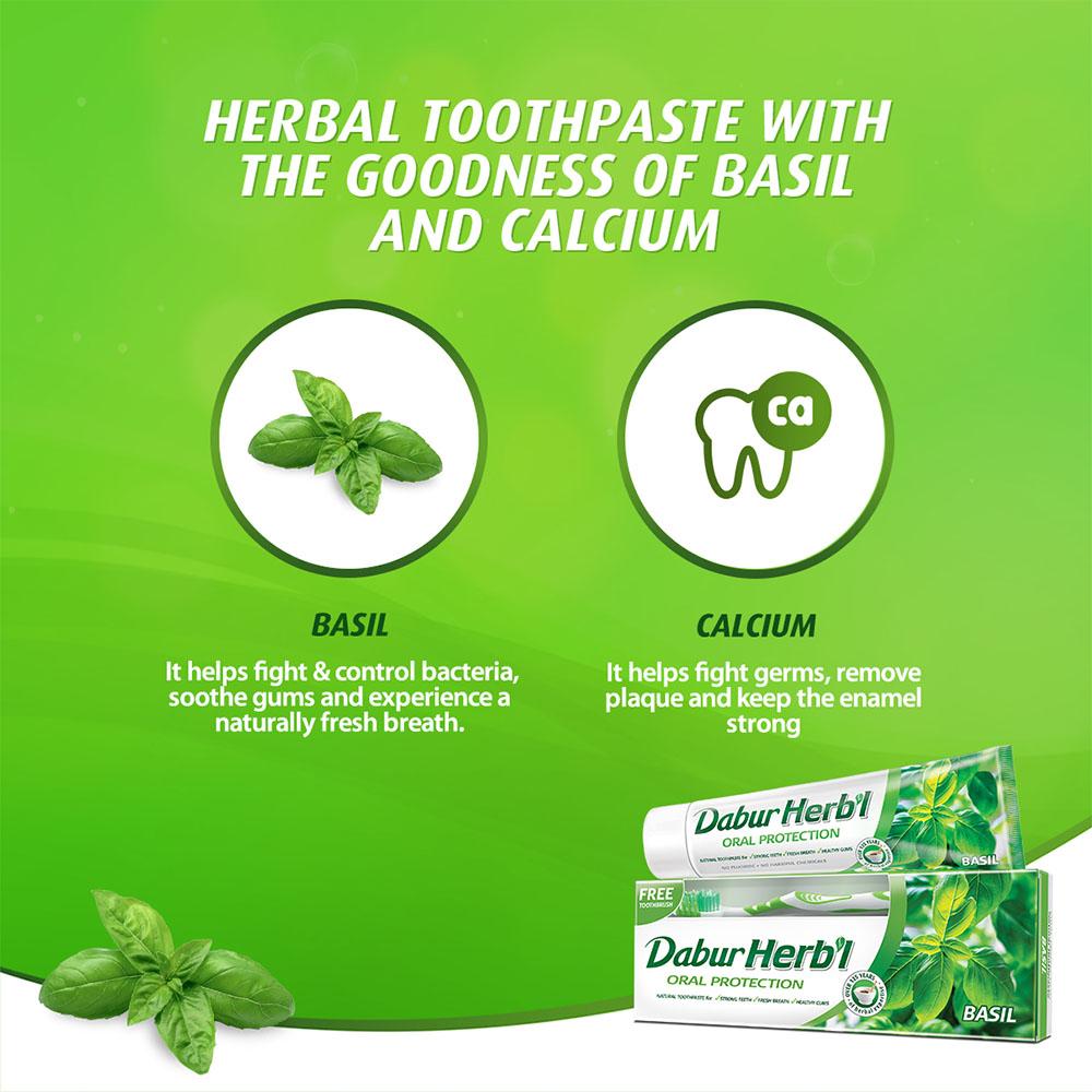 Natural Basil Toothpaste - Oral Protection - BASIL HERB`l - Cavity Free Strong Teeth