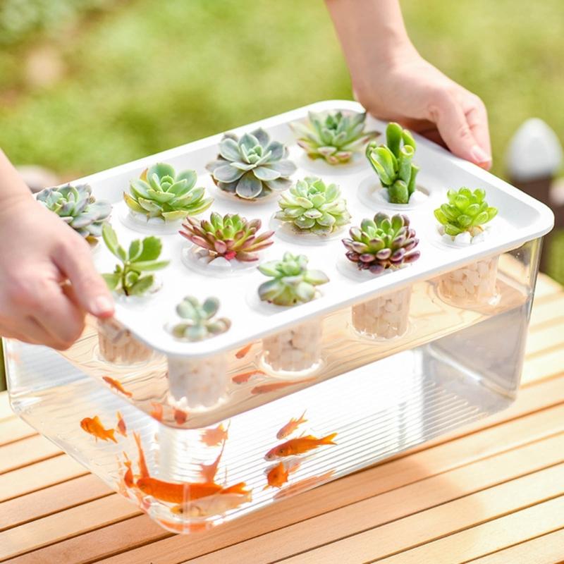 Visible Cultivation Tray Hydroponic Grower Box Container With Lid For Home Vegetables Water Based Gardening And Home Use