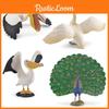 Pelican Wildlife Peafowl Animal Pvc Models For Kids Educational Decor Toys And