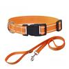 Nylon Dog Collar and Leash Set of Pet Collars Leash Designed for Small Medium Large Dogs Dog Accessories Designed for Small Dogs