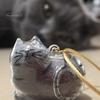 Elegant Pet Fur Memory Jar Cat Hair Storage Bottle Transparent Keepsake Keychain Memorial for Collecting And Dog Gift Pets