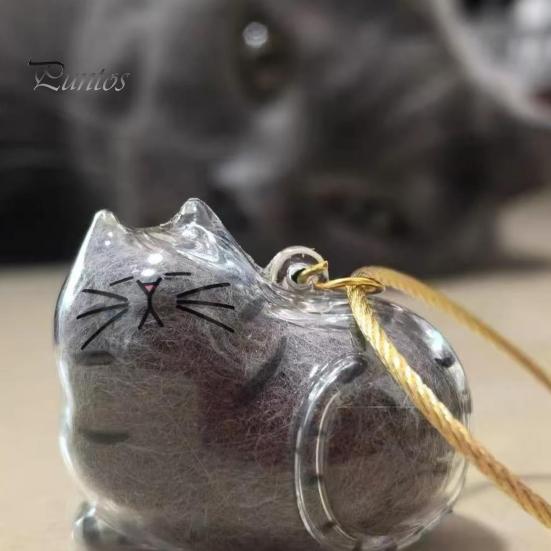 Elegant Pet Fur Memory Jar Cat Hair Storage Bottle Transparent Keepsake Keychain Memorial for Collecting And Dog Gift Pets
