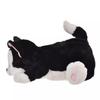 Disney Figaro Hot Water Bottle ( Warm Goods ) Japan NEW Disney Store