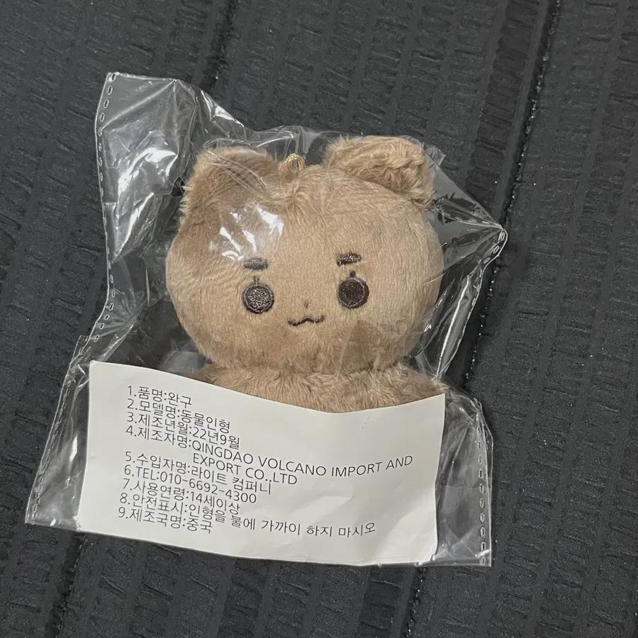 

DAY6 Продажа куклы Sungjin Comdini