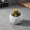 Kleiner Grüner Blumentopf 3D-gedruckter Mond-Blumentopf für Sukkulenten, Kreativer Mondoberflächen-Pflanztopf aus PLA-Material Schreibtischdekoration, Minimalistisches Home-Office