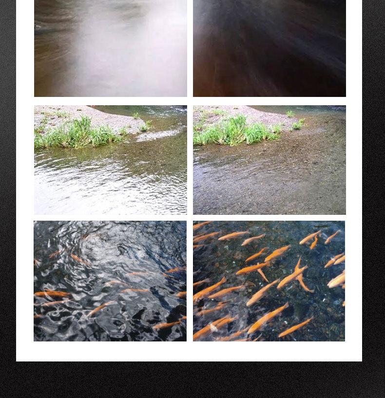 UV, CPL, FLD Filters + ND2, ND4, ND8 + Petal Hood + 6-Piece Lens Cap Set