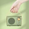 High Volume Portable Speaker Card Slot FM Radio Wireless Stereo  Outdoor Activities